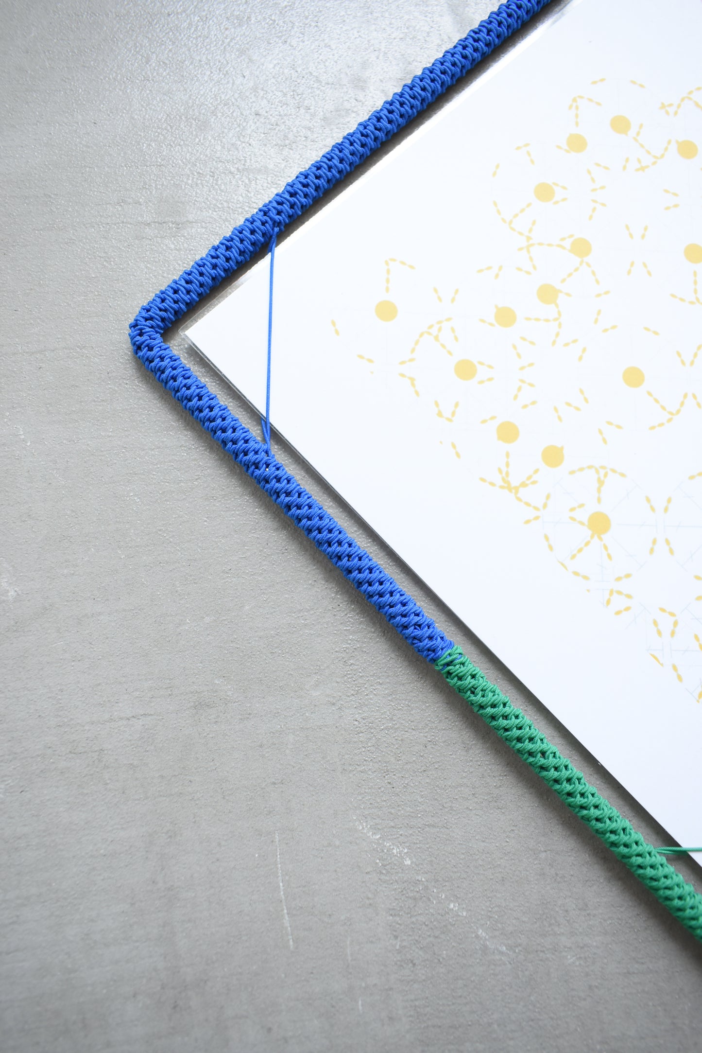 FRAME / A4 / cobalt blue × green