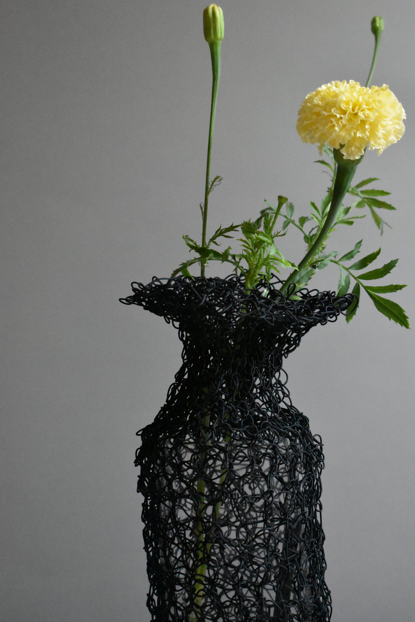 henrin / black