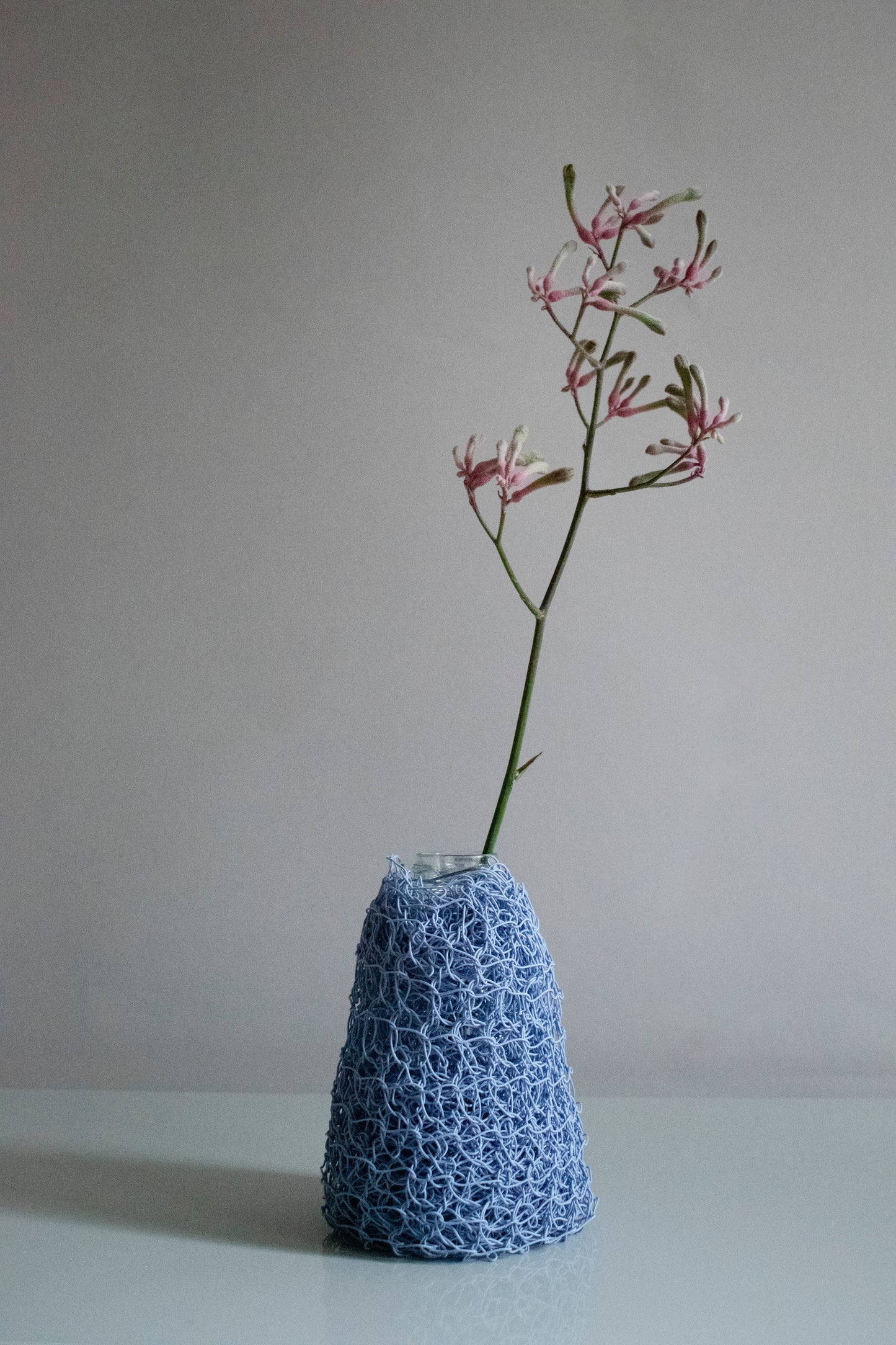henrin / lavender